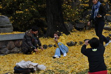 DSC_4529.JPG
