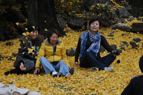 DSC_4532.JPG