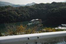 DSC_3437.JPG