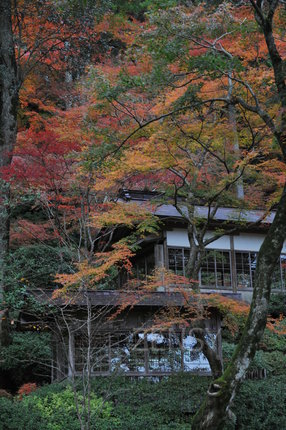 DSC_5387.JPG