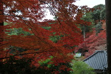 DSC_5451.JPG