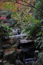 DSC_5454.JPG