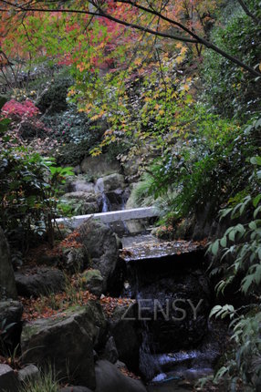 DSC_5454.JPG