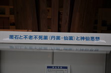 DSC_5228.JPG