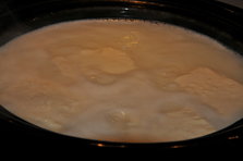 DSC_5071.JPG