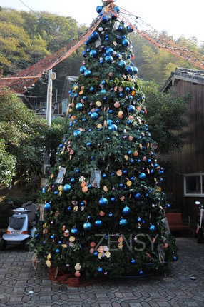 DSC_3254.JPG