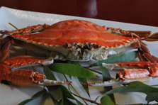 DSC_4927.JPG