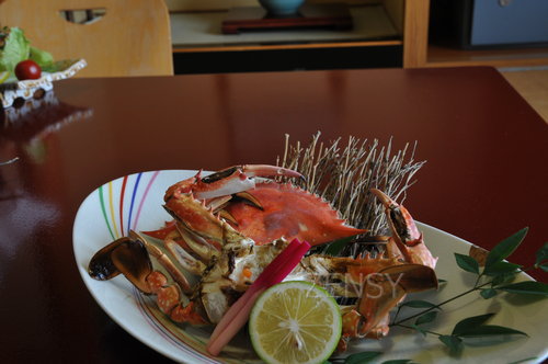 DSC_4948.JPG