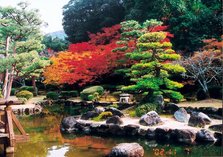 ph-史跡-西渓公園-秋の紅葉.jpg