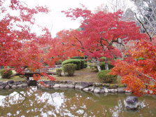 西渓公園.JPG