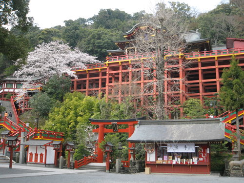 祐徳稲荷神社桜.jpg