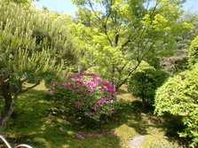 CIMG0306.JPG