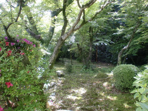 CIMG0307.JPG
