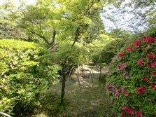 CIMG0308.JPG