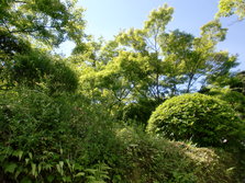 CIMG0309.JPG