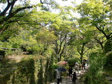 CIMG0310.JPG