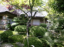CIMG0311.JPG