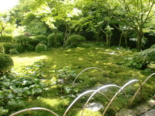 CIMG0313.JPG