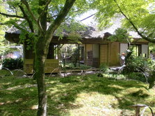 CIMG0314.JPG