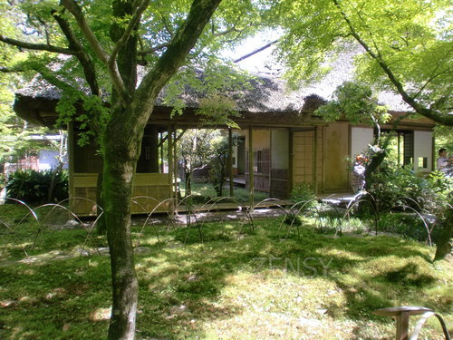 CIMG0314.JPG