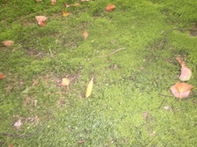 CIMG0318.JPG