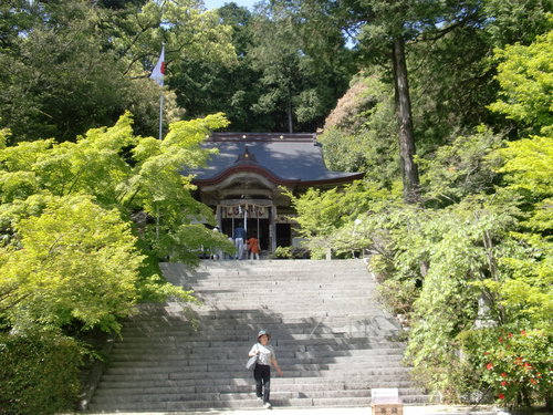 CIMG0320.JPG
