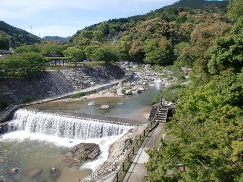 CIMG0321.JPG