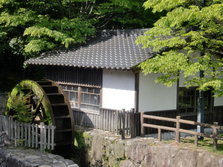 CIMG0322.JPG