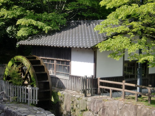CIMG0322.JPG