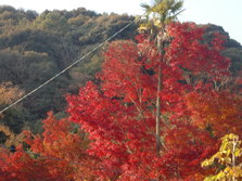 CIMG0532.JPG