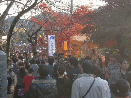 CIMG0530.JPG