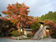 07.JPG