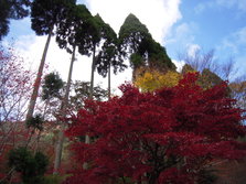 mori 006.jpg