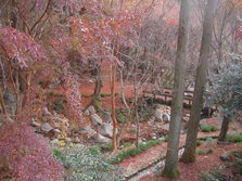 mori 011.jpg
