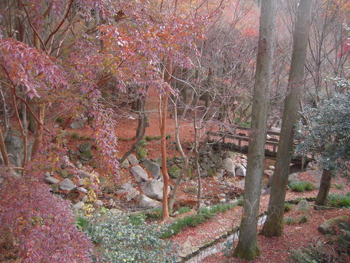 mori 011.jpg