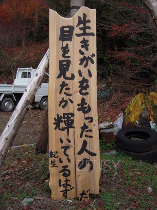 mori 014.jpg