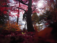 mori 023.jpg