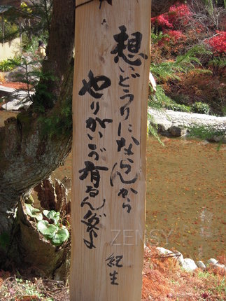 mori 034.jpg