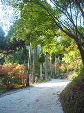 DSCF0165.JPG