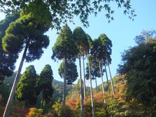 DSCF0171.JPG