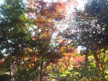 DSCF0172.JPG
