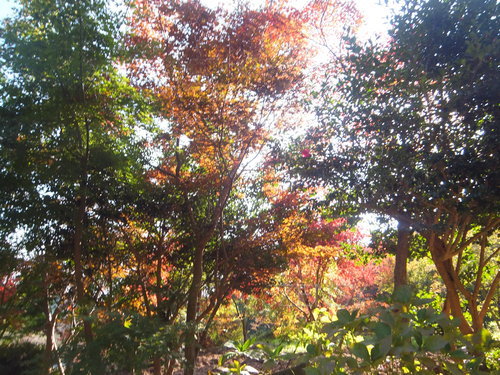 DSCF0172.JPG