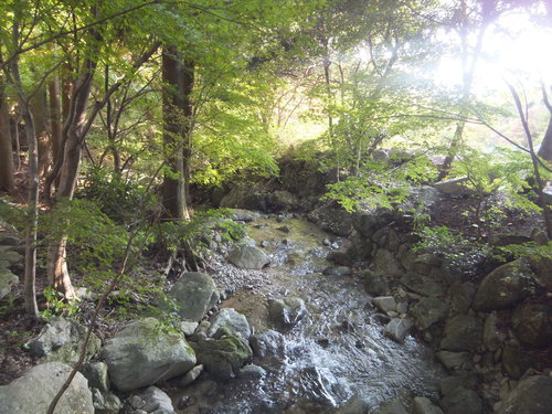 DSCF0173.JPG