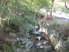 DSCF0174.JPG