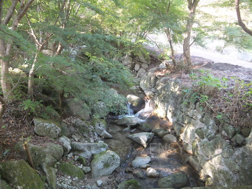 DSCF0174.JPG