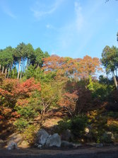 DSCF0176.JPG