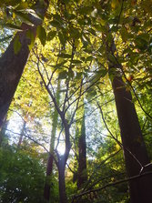 DSCF0178.JPG