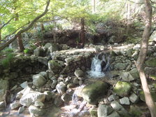 DSCF0179.JPG