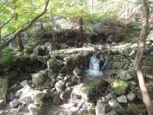 DSCF0179.JPG