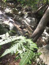 DSCF0180.JPG